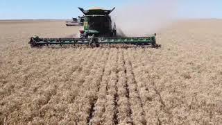 Bingham Agriculture- 2020 Harvest- NSW