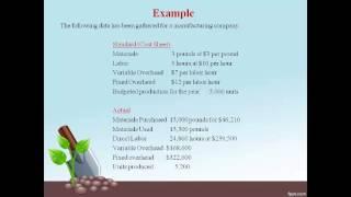 MC12: Managerial/Cost Accounting:  Variance Analysis