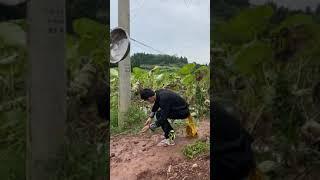 Kwai Funny tiktok : Funny Videos 2020, Chinese Funny Video - Most View Chinese Funny Video