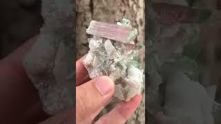 World wide shipping Bicolour Tourmaline Speciman with quartz #crystals #speciman #tourmaline #gems