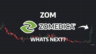 What's Next? - ZOM Stock Price Prediction - ZOM Stock Analysis | Zomedica Stock