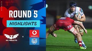 Scarlets v Vodacom Bulls | Highlights | Round 5 | URC 2024/25