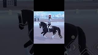 How A Nice Dressage Horse Looks Like  [Equestrian The Game] (ETG)