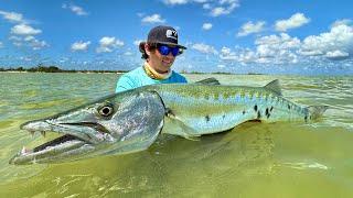 Pesca de MONSTRUOS a 1 pie de profundidad! | Barracuda Gigante y Róbalos