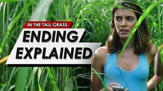 In The Tall Grass: Ending Explained Breakdown + Movie Spoiler Review & How The Grass Works