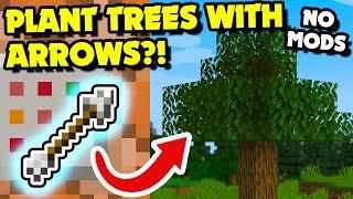 Plant TREES with ARROWS With No Mods?! | Using Place Feature Command | Minecraft 1.19-1.20.4