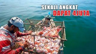 REJEKI dapat 4 Juta sekali angkat perangkap ikan | Bubu ikan