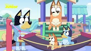 Bluey and Bingo's Pirate Adventure ️ | Bluey  | Disney Junior Arabia