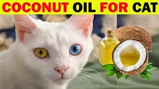 5 SURPRISING HEALTH BENEFITS OF COCONUT OIL FOR YOUR CAT || Bright Ways Now