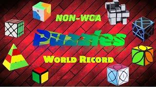 Non WCA Puzzle World Record