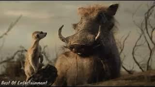 Timon And Pumba Best Funny Clips in Hindi | Hollywood Hindi Dubbed Funny Clips