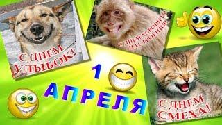 1 апреля -праздник смеха Веселое поздравление с Днём смеха 1 апреля