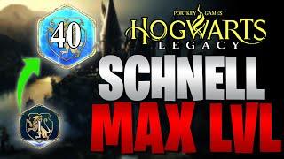 Ganz einfach EP FARMEN in Hogwarts Legacy | Schnell Max Level erreichen