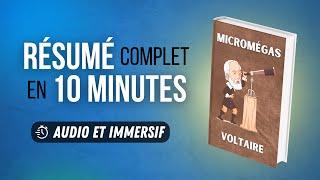 Résumé immersif : Micromégas - Voltaire