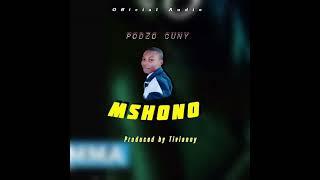 MSHONO MP3 MUSIC FULL SONG (PODZO CUNY)