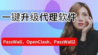 【搞机零距离】最简单一键升级我们的passwal,PassWall2,SSR-Plus,OpenClash软路由代理软件，不用刷机，轻松一键升级。