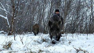 Возвращение Фантика!!!!