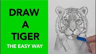 DRAW A TIGER | Easy step-by-step drawing lesson for beginners on how to draw a tiger.