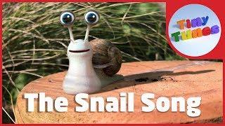 The Snail Song | Snail Facts For Kids | Tiny Tunes