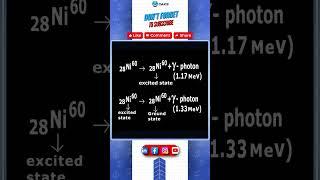 Radioactivity || β,γ,α - decay examples || Class X #oaks