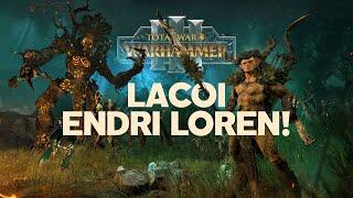 Разбор фракций и лордов Лесных Эльфов Total War Warhammer 3