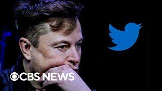 Twitter employees laid off a week after Elon Musk's takeover