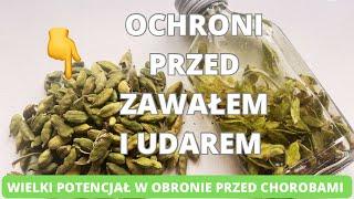 Ochroni przed zawałem i udarem. Wielki potencjał w obronie przed chorobami cywilizacyjnymi #kardamon