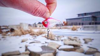 Undercover Ice Fishing Mission On A MILLIONAIRE'S POND!!! (Aqua-Vu Revolution 5 Pro)