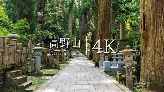 [Sacred place in the sky opened by Kukai] Visiting Mt. Koya - JAPAN in 4K