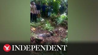 Indonesian woman swallowed whole by python