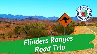  Flinders Ranges Road Trip ~ Discover South Australia