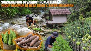 HIDUP MAKMUR DI PEDESAAN TENGAH KEBUN, BANGUN PAGI DI SAMBUT HUJAN LEBAT MENIKMATI SINGKONG & PARE