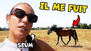 J'ai un cheval à vous présenter !