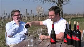 Folge 684 On Tour - Zu Besuch beim Weingut Pöckl