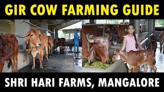 Gir Cow Farming (Complete Guide) | Shri Hari Dairy Farm, Mangalore