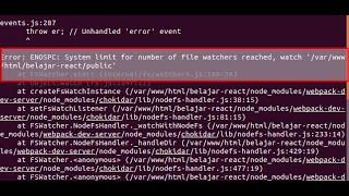 File Watcher Error || React || VS Code || Dumb Minds