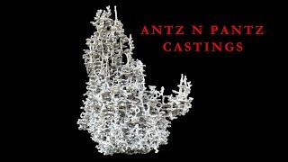 Look At The Size Of This Ant Mound Sculpture! Our Largest Texas Fire Ant Aluminum Casting