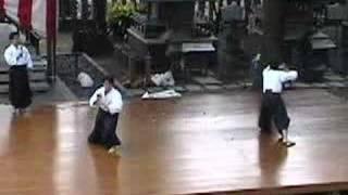 Yagyu Shingan Ryu Heijutsu Taijutsu II