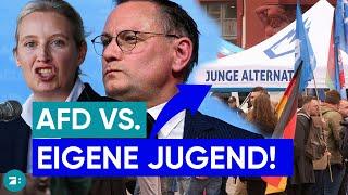 AfD will „Junge Alternative“ abstoßen – zu extrem?