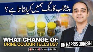 What urine colour tells about our body? پیشاب کا رنگ کیا بتاتا ہے؟ Urdu Hindi