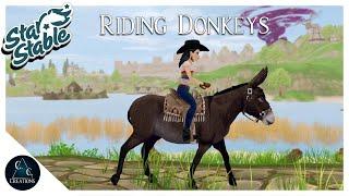 Buying and Riding Donkeys - A Star Stable Idea