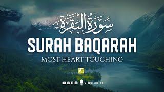 Surah Al Baqarah Full سورة البقره | This will Deeply Touch your Heart إن شاء الله | Zikrullah TV