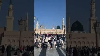 Ya Nabi Salaam #shortvideo #madinaharbic #makkalivetoday #shortsfeed #shortvideo #shorts #muhammad