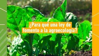 ¿En qué consiste la Ley de Fomento a la Agroecología?