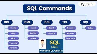 All Types of SQL Commands with Syntax & Example | DDL, DQL, DML, DCL, TCL | Learn SQL Commands Types