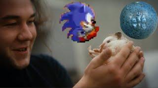 Mystery of the Hedgehog: Whimsy, Magick, and Memes