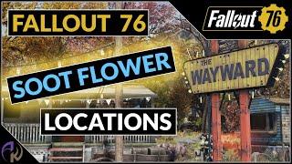 Fallout 76 Soot Flower Locations [2 Easy Routes]