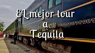 Jose Cuervo Express  | All you need to know about the experience