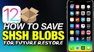 How To SAVE iOS 12 SHSH BLOBS With TSS SAVER For iPhone - iPad - iPod