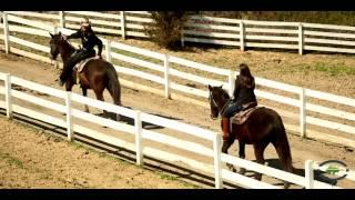 Inside look at Five Oaks Riding Stables in Pigeon Forge